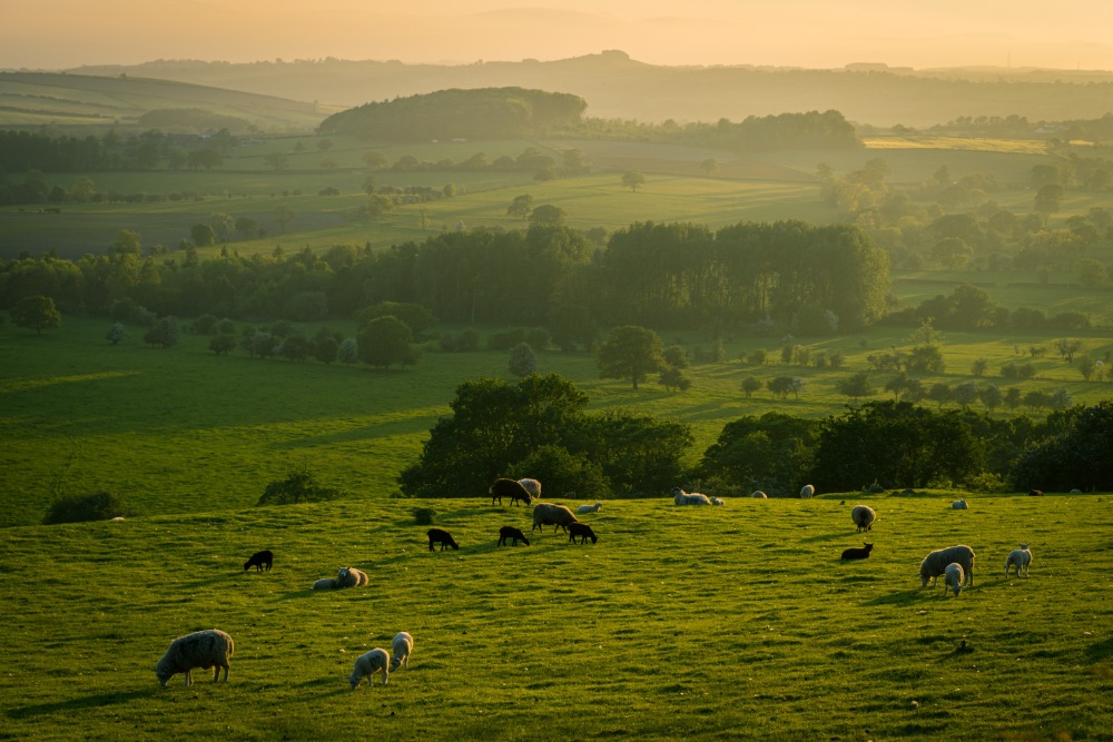 Marston Edge - A Sense Of Community