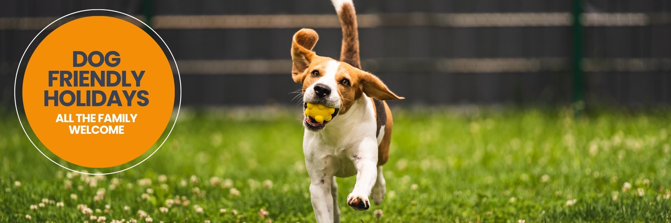 Dog-Friendly Touring Holidays in Ross-on-Wye