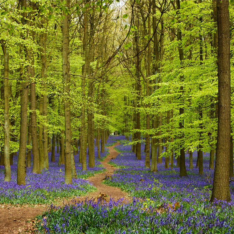 Broadwell Woods Residential Park In Warwickshire Boradwell Woods