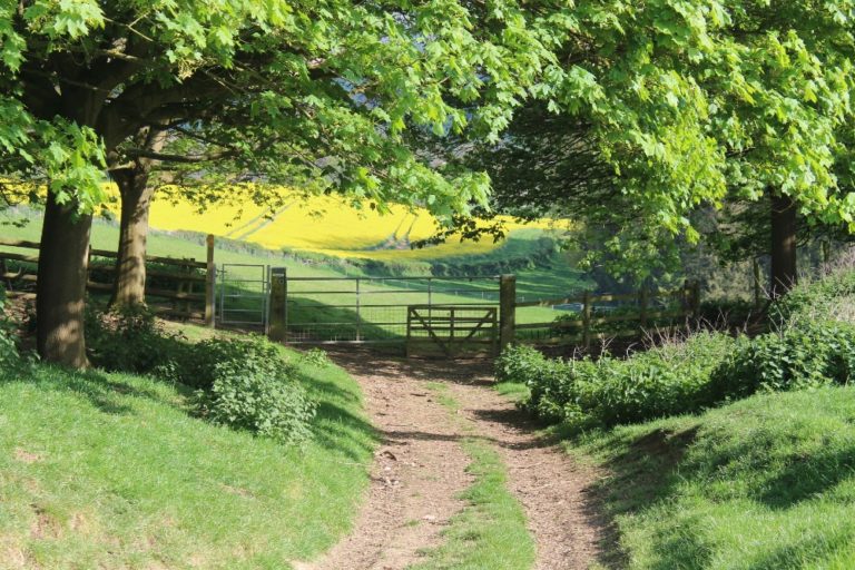 Redlands Park Luxury Residential Park Homes Redlands Park