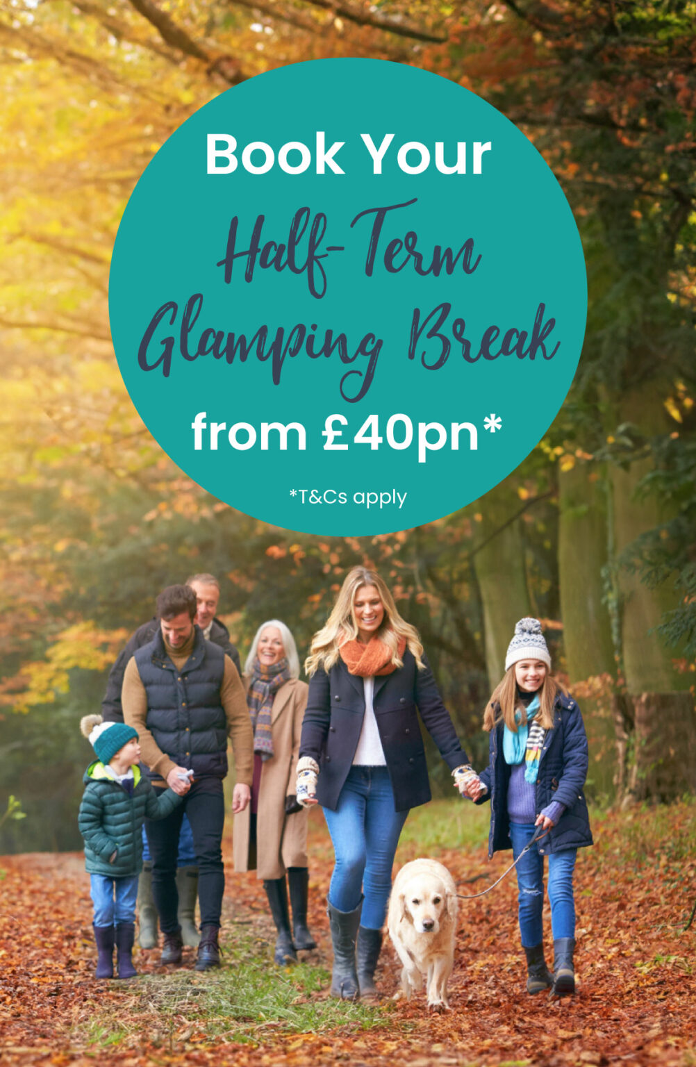 Glamping In Stratford upon Avon Stratford Parks glamping-in-stratford-upon-avon-stratford-parks