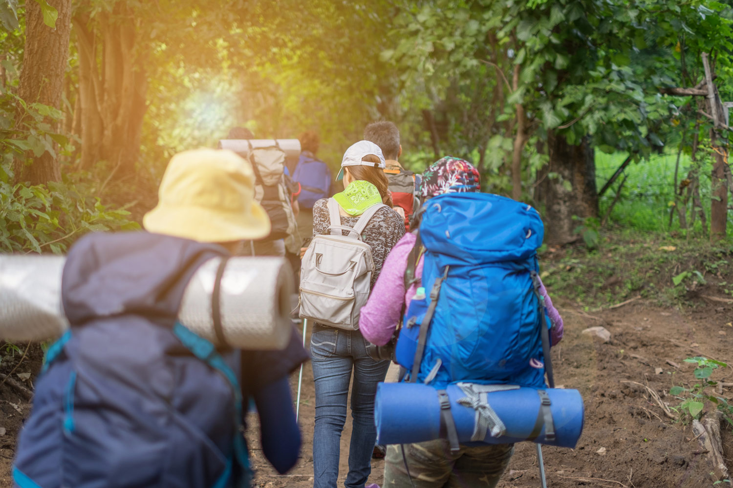 a group of people hiking